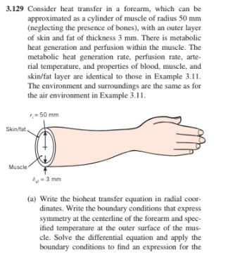 Forearm fat hot sale