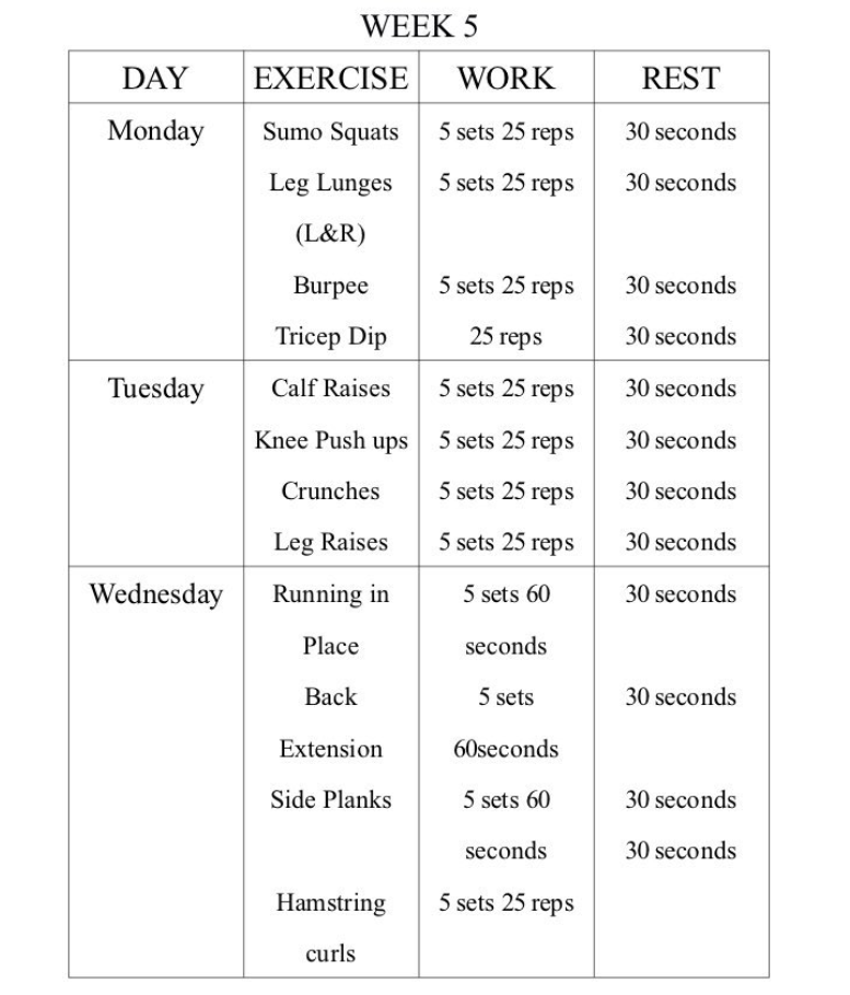 Activity 2: Fitness Portfolio (Pages 1-31) (Month: | Chegg.com