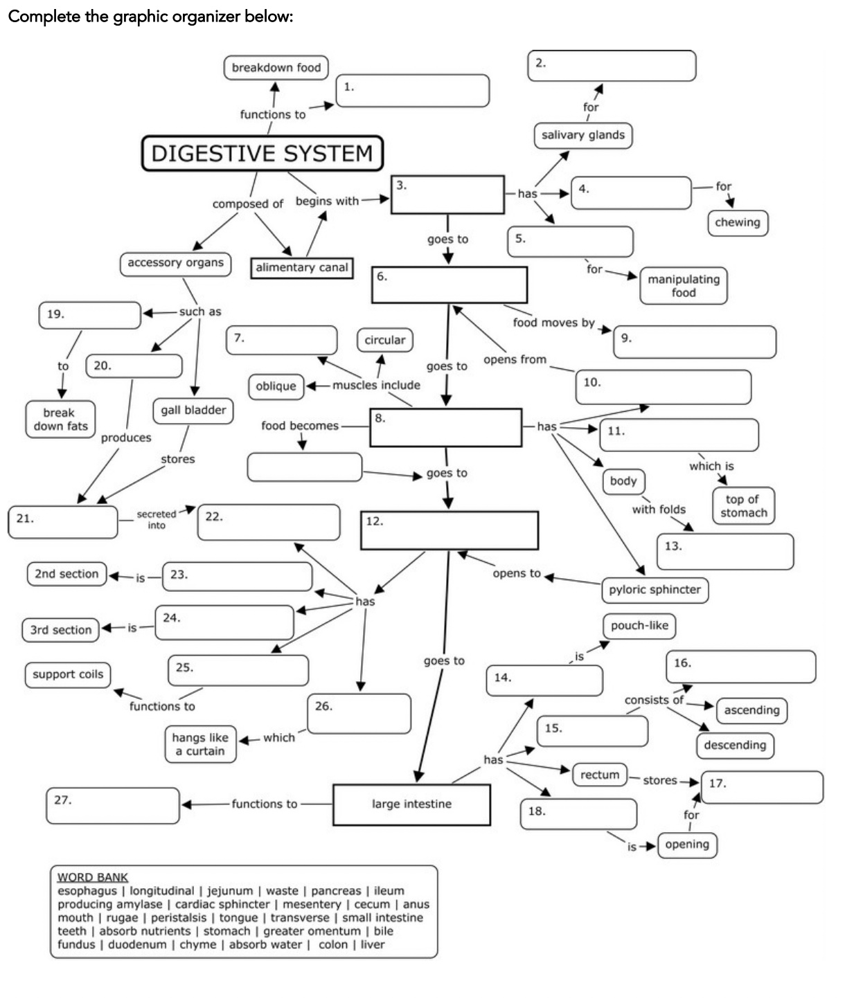 Solved Complete the graphic organizer below: | Chegg.com