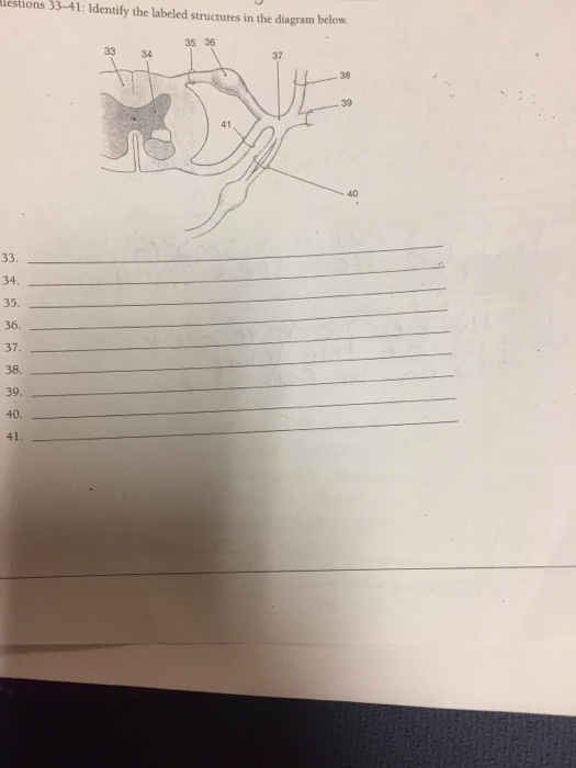 Solved Identify the labeled structures in the diagram below. | Chegg.com
