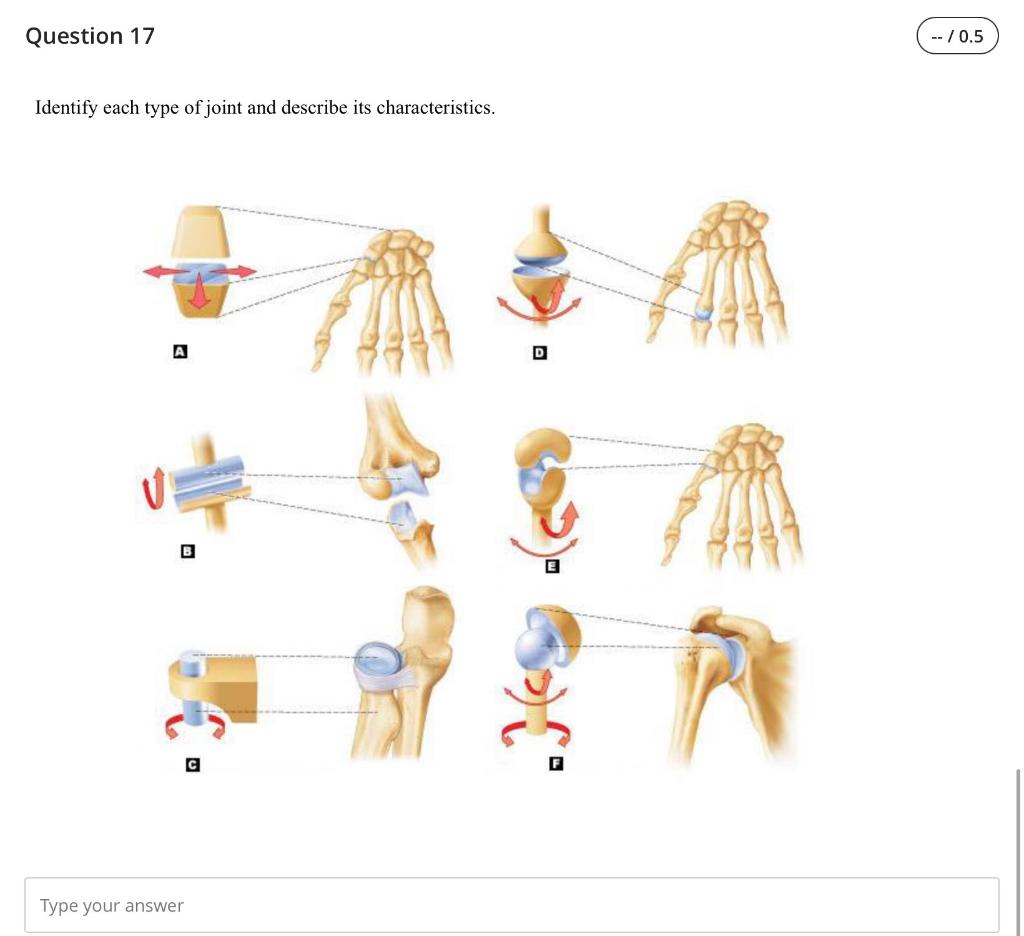 Solved Question 17 -- / 0.5 Identify each type of joint and | Chegg.com