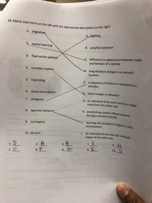 Solved 24. Match each term on the left with the appropriate | Chegg.com