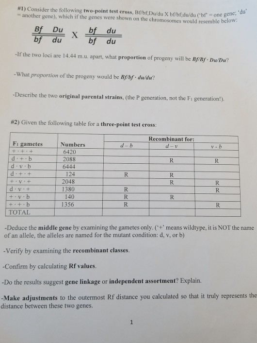 Solved #1) Consider The Following Two-point Test Cross, | Chegg.com