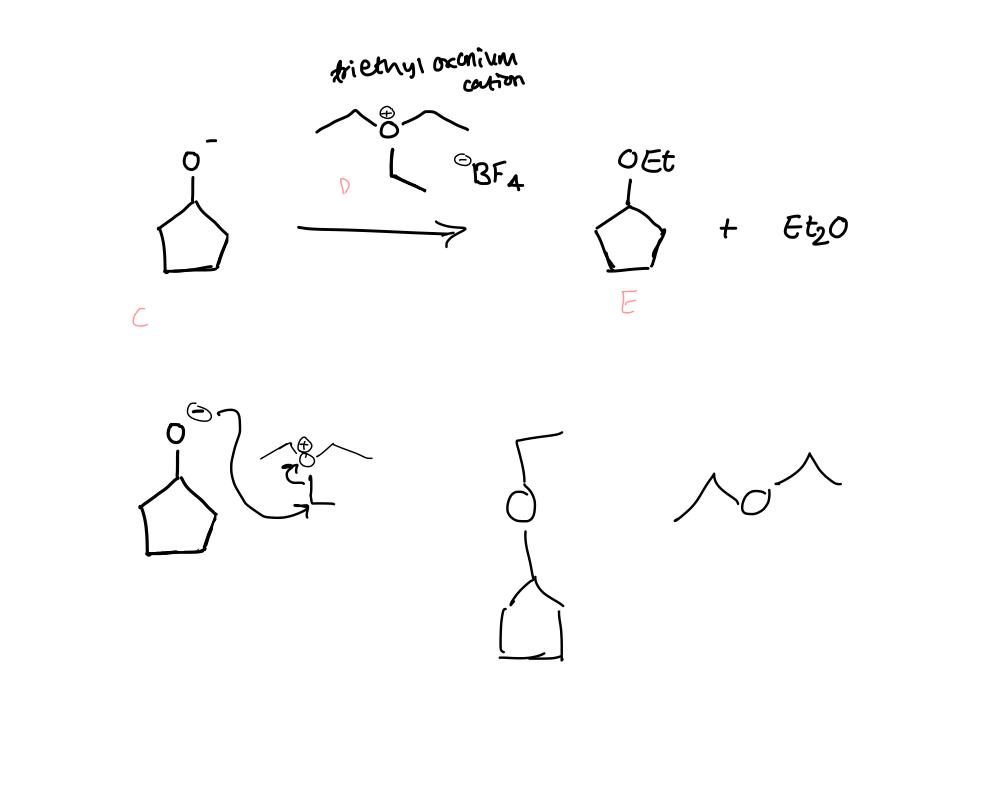 Solved where would the negative charge attack ? Is this on | Chegg.com