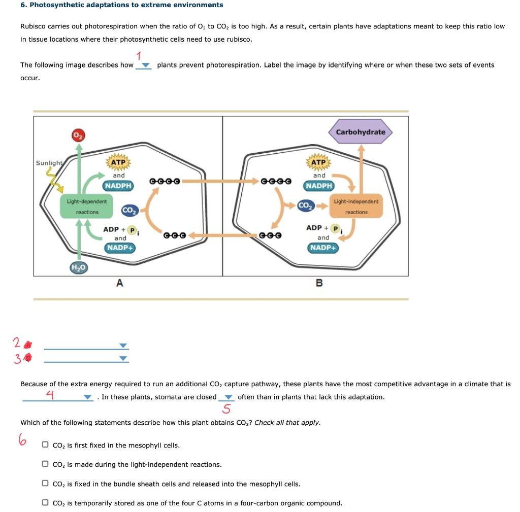 Solved *For Diagrams A And B, A Is 2 And B Is 3* 1) "C4" | Chegg.com