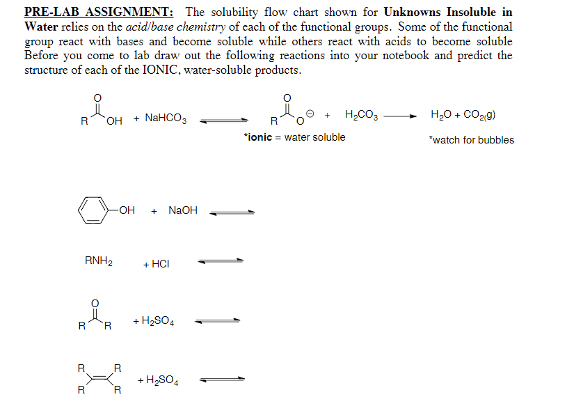 lab solubility assignment lab report active