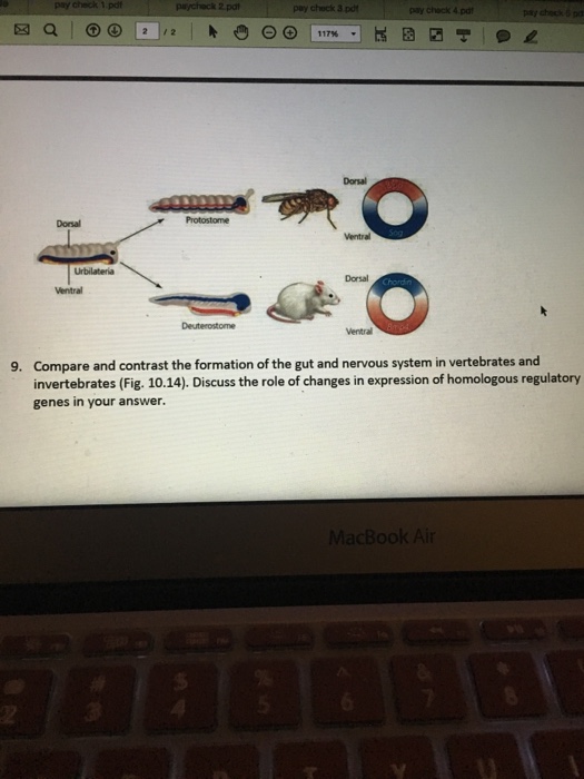 😎 Compare and contrast vertebrates and invertebrates. Difference