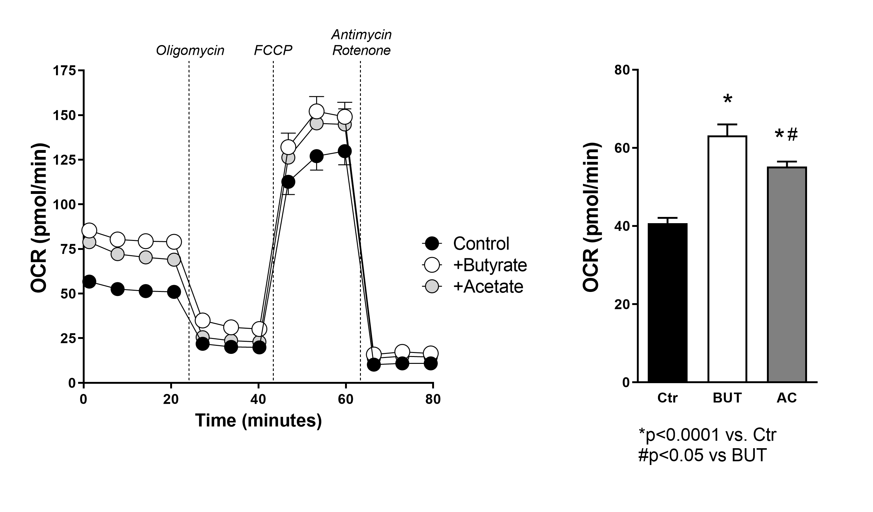 Solved In the online practical lesson, you investigated the | Chegg.com