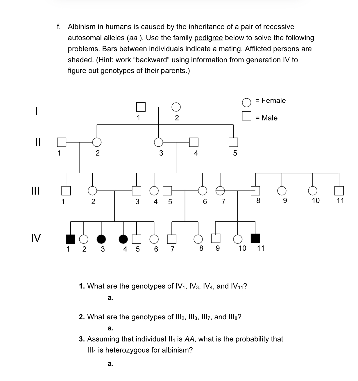 Solved f. Albinism in humans is caused by the inheritance of | Chegg.com