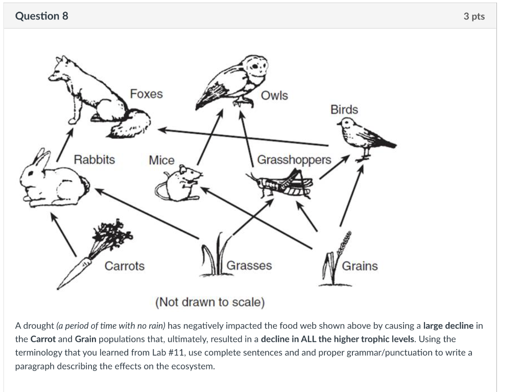 Solved A drought (a period of time with no rain) has Biology Diagrams