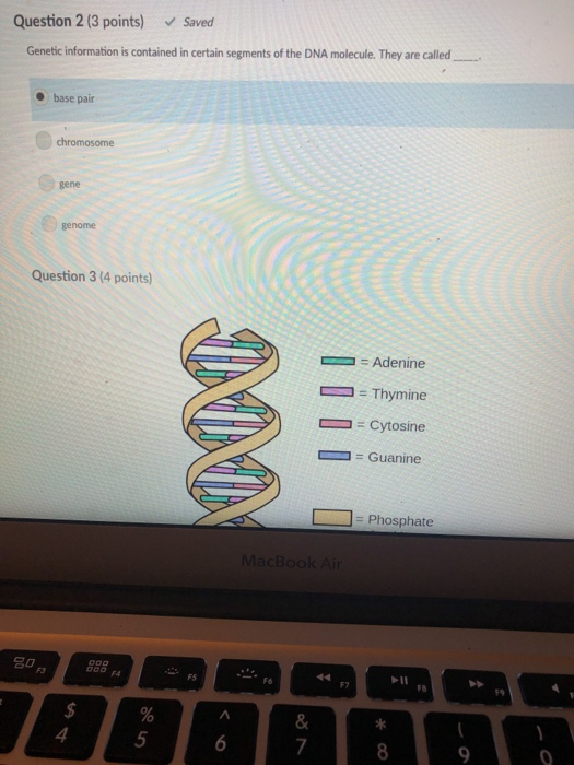Solved Question 2 (3 points) Saved Genetic information is | Chegg.com