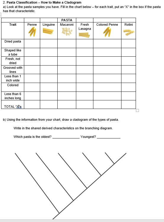 How To Make A Classification Chart