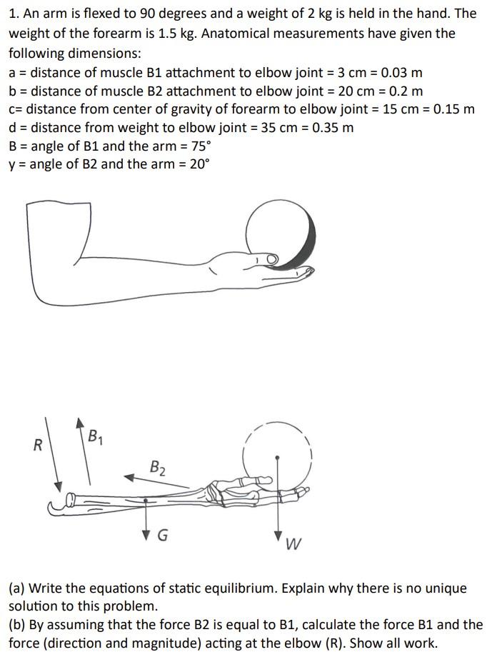 Solved 1. An arm is flexed to 90 degrees and a weight of 2 | Chegg.com