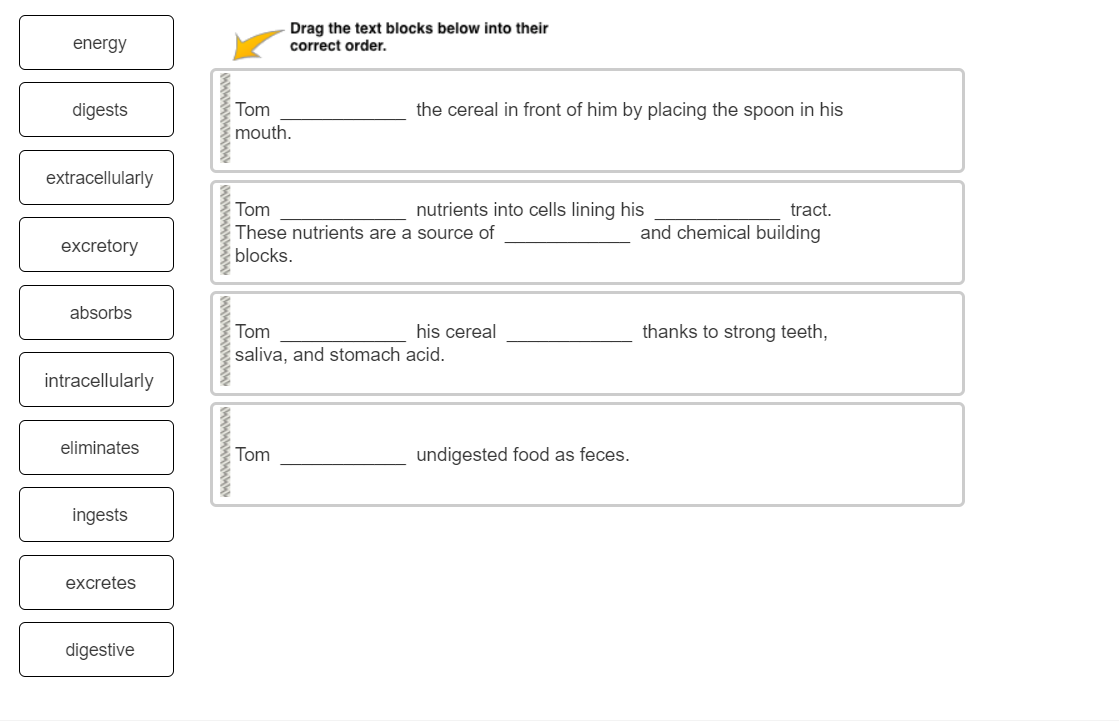 Solved Drag the words from the left to complete the | Chegg.com