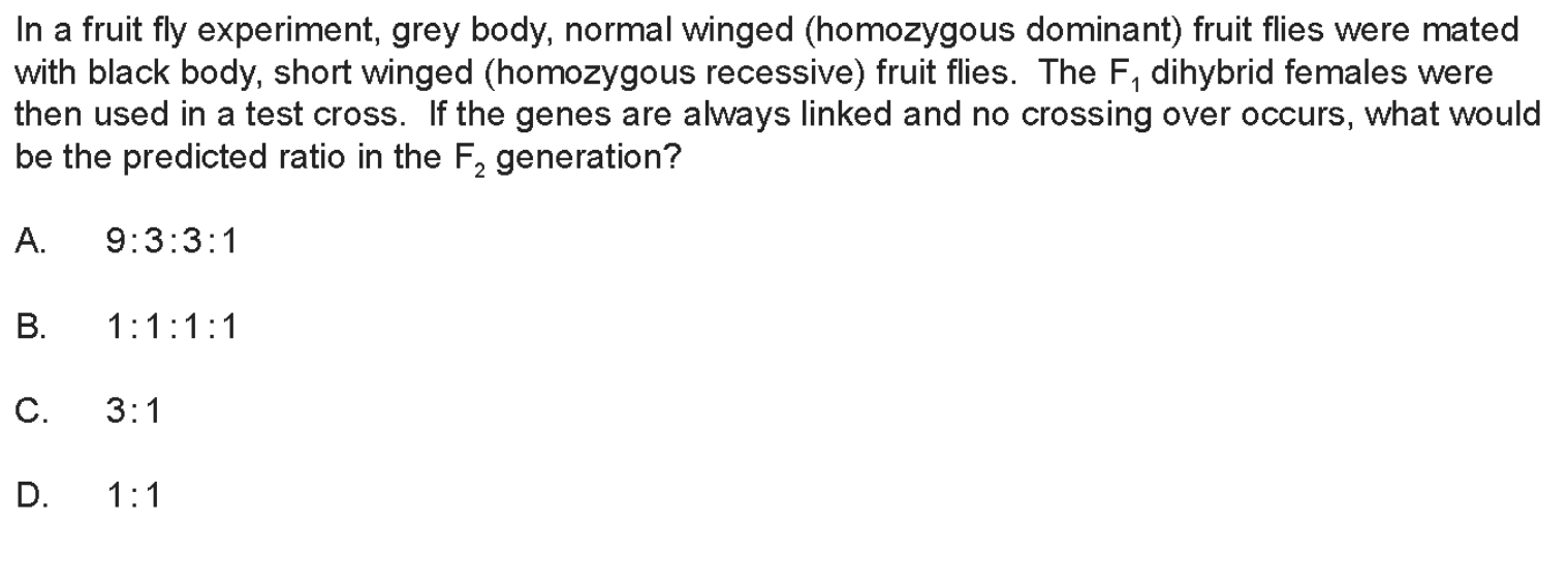 in a fruit fly experiment grey body normal winged