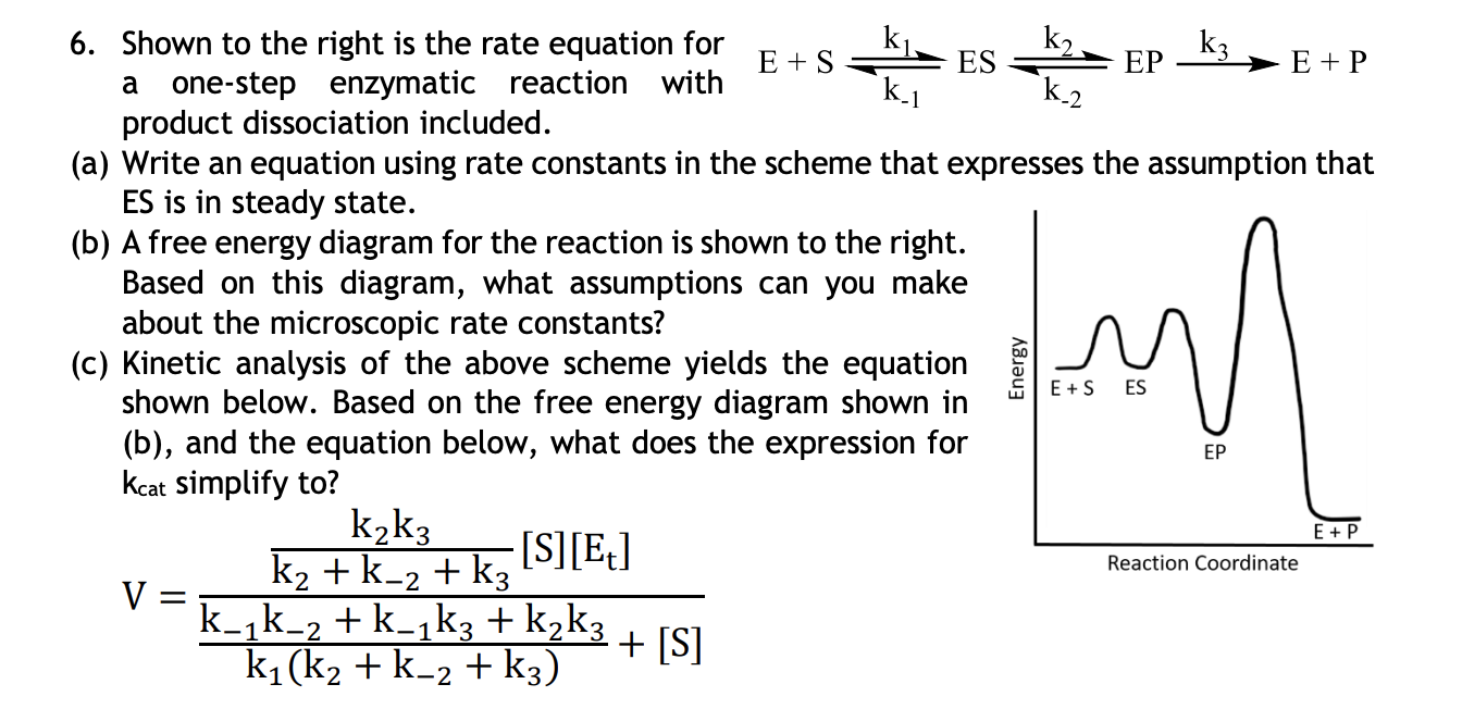 Solved 6. Shown to the right is the rate equation for a | Chegg.com