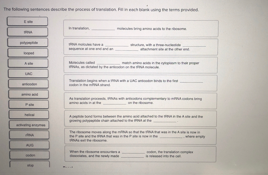 solved-the-following-sentences-describe-the-process-of-chegg