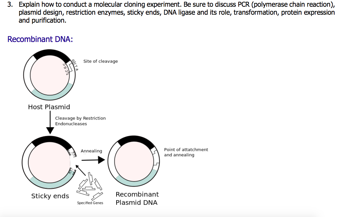 chegg