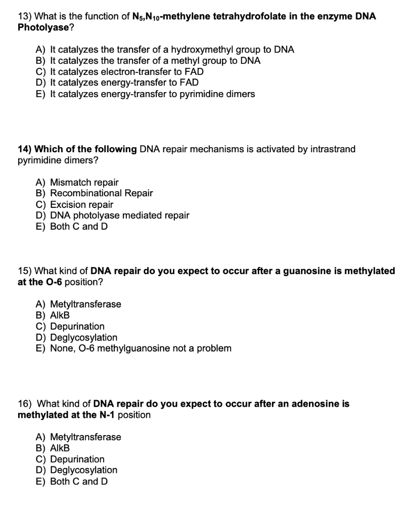 Solved 13) What is the function of N5, N10-methylene | Chegg.com