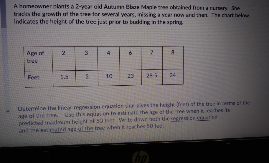 Autumn Blaze Maple Growth Chart   Image