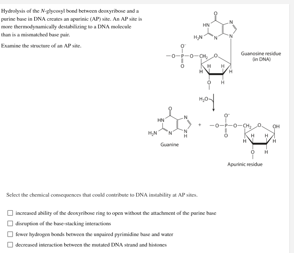 Solved Hydrolysis Of The N Glycosyl Bond Between Deoxyribose