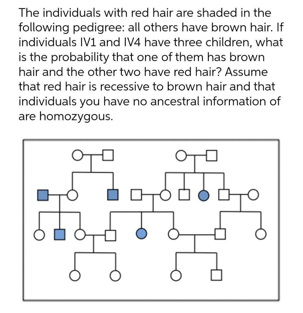 Solved The individuals with red hair are shaded in the | Chegg.com