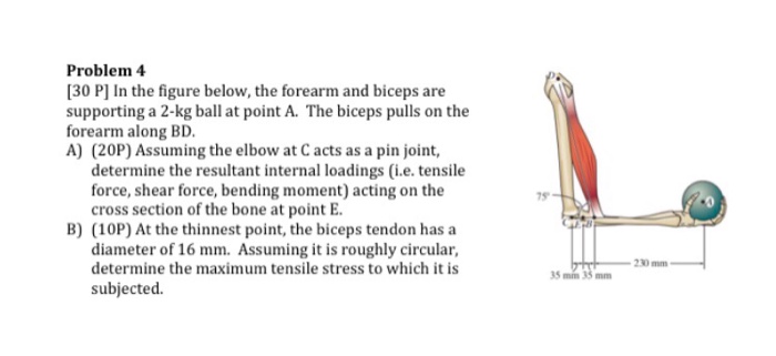 Solved Problem 4 30 P] In The Figure Below, The Forearm And | Chegg.com