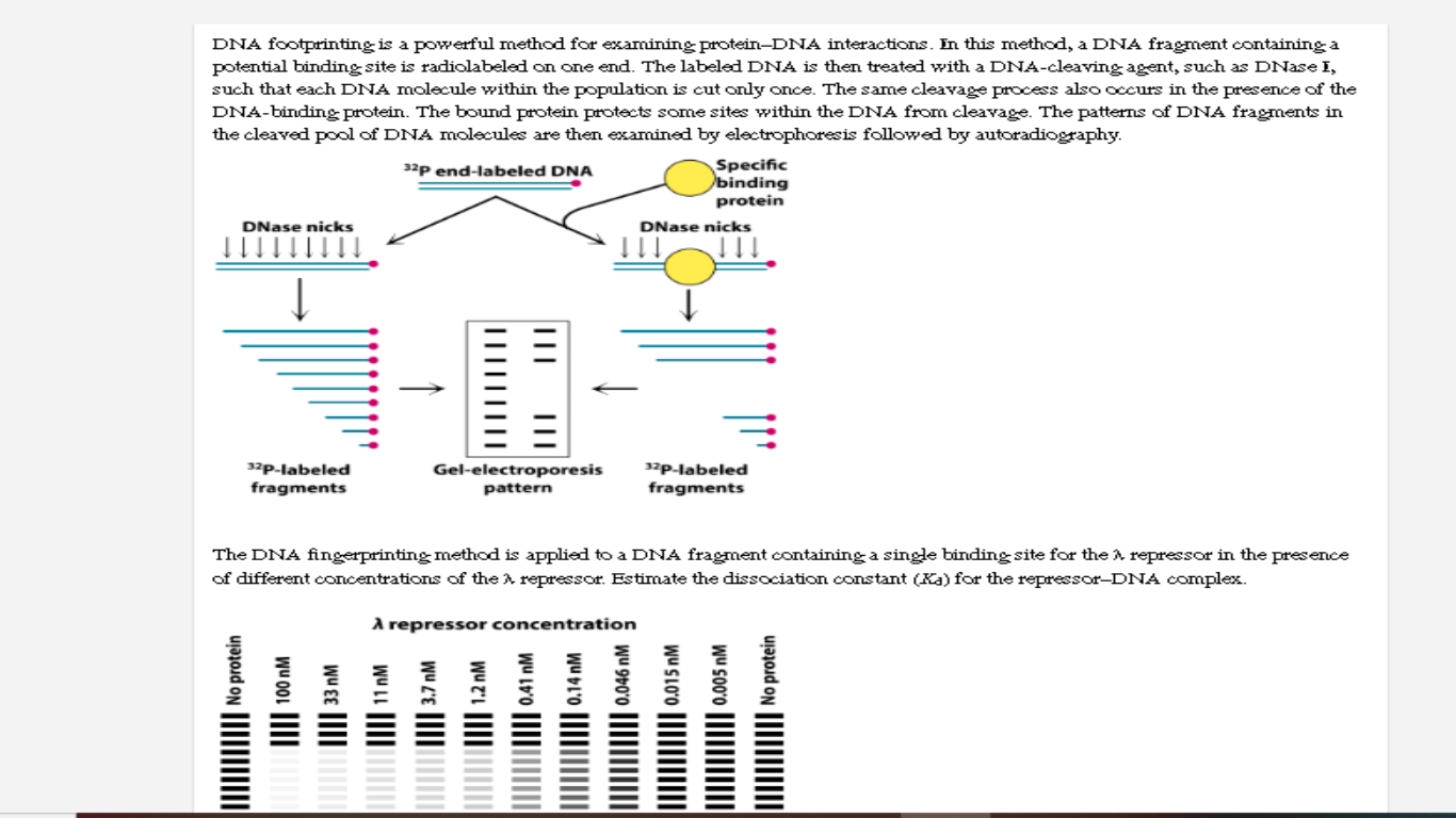 DNA footprinting is a powerful method for examining | Chegg.com