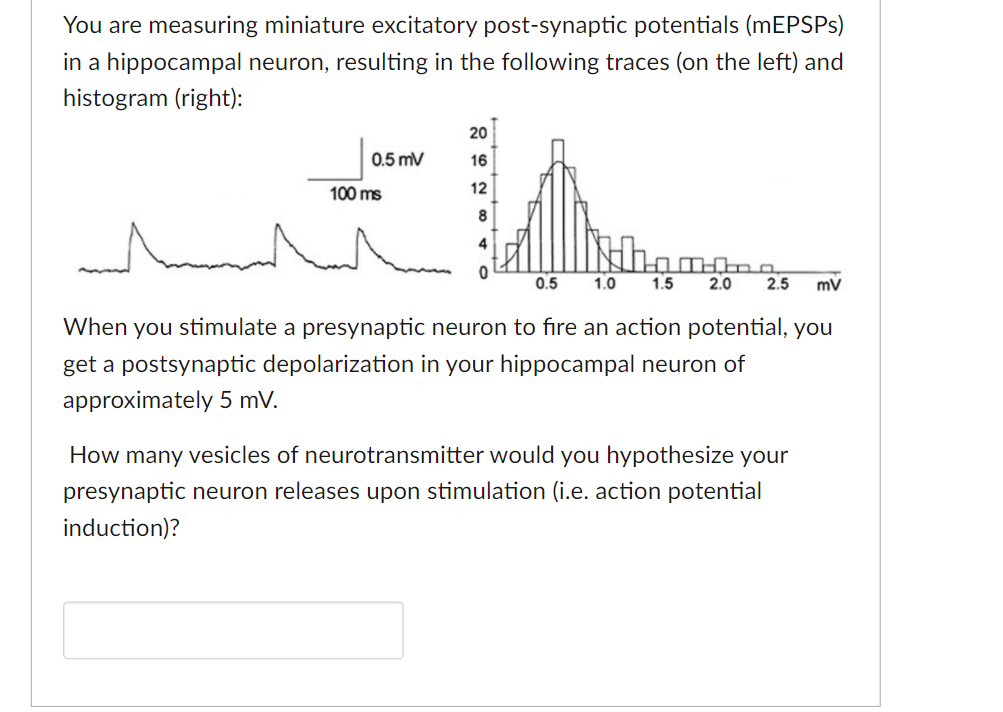 Solved You are measuring miniature excitatory post-synaptic