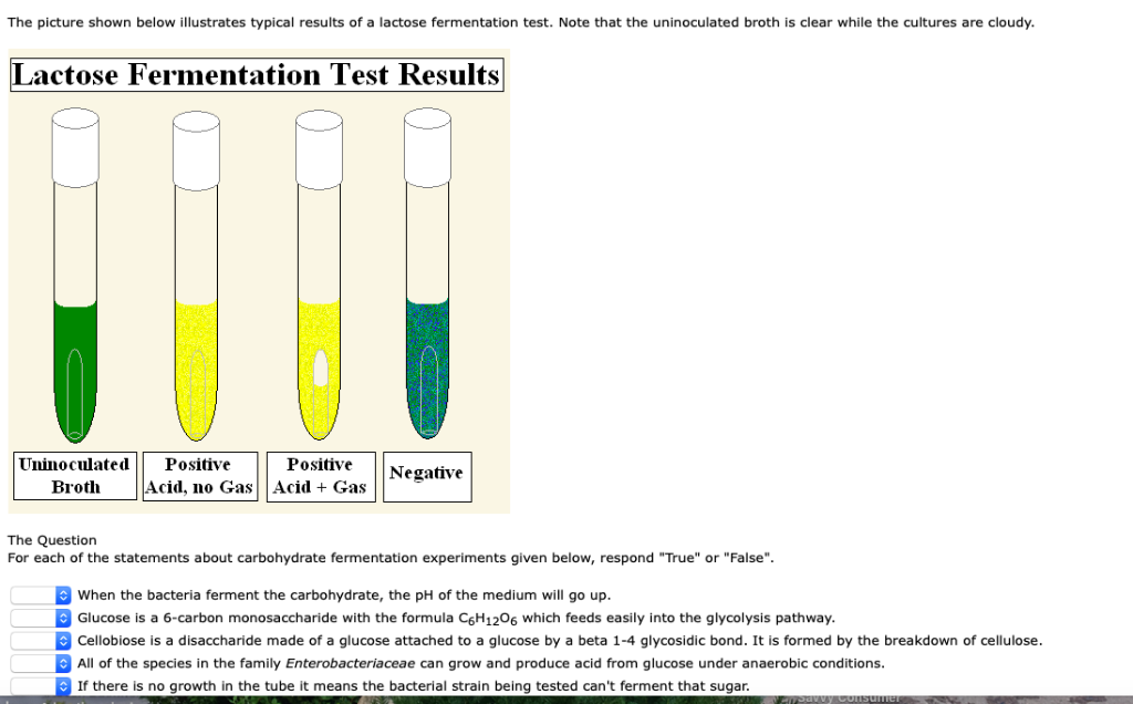 solved-the-picture-shown-below-illustrates-typical-results-chegg