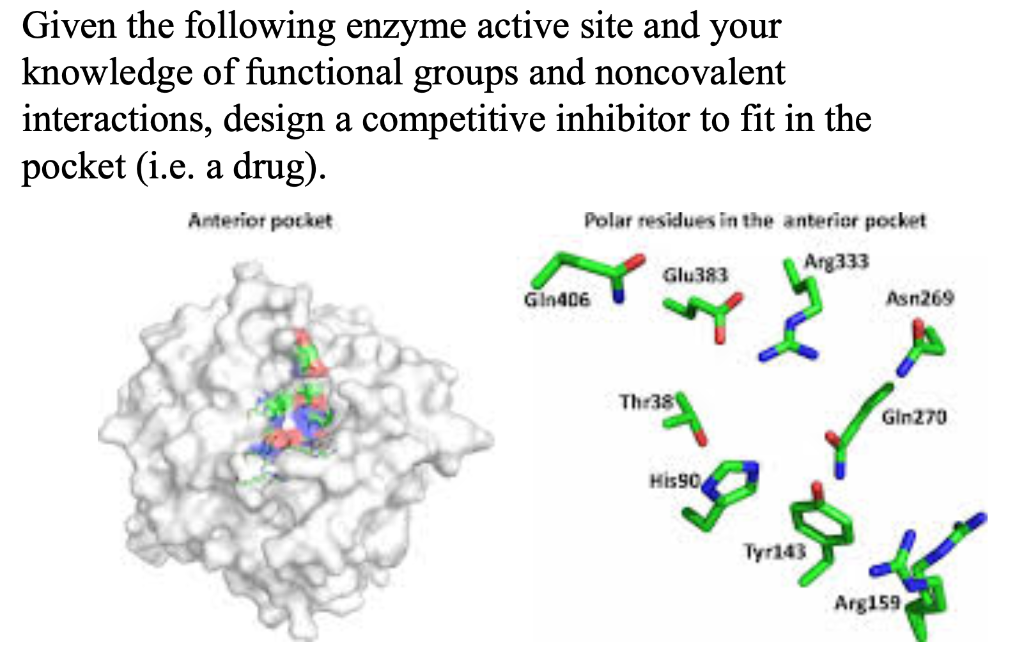 Solved Given the following enzyme active site and your | Chegg.com