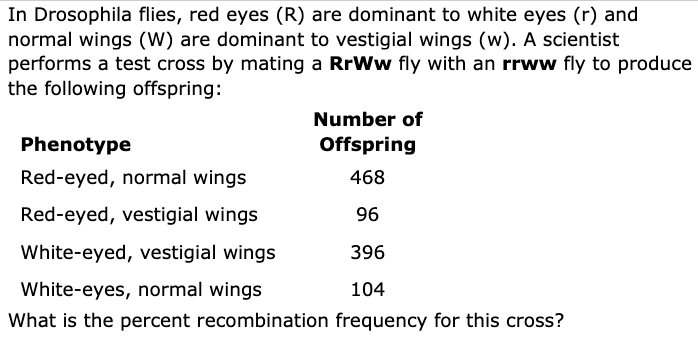 Raid fly strips work REALLY well for fruit flies. It was up for 48 hours  when I shot this. : r/nextfuckinglevel