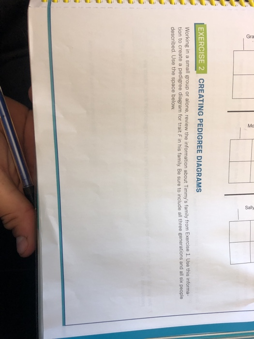EXERCISE 2 CREATING PEDIGREE DIAGRAMS Working in a | Chegg.com