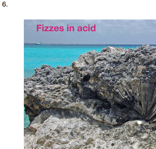 Solved Grain Size (if visible) Minerals or Grain Type Fizz | Chegg.com