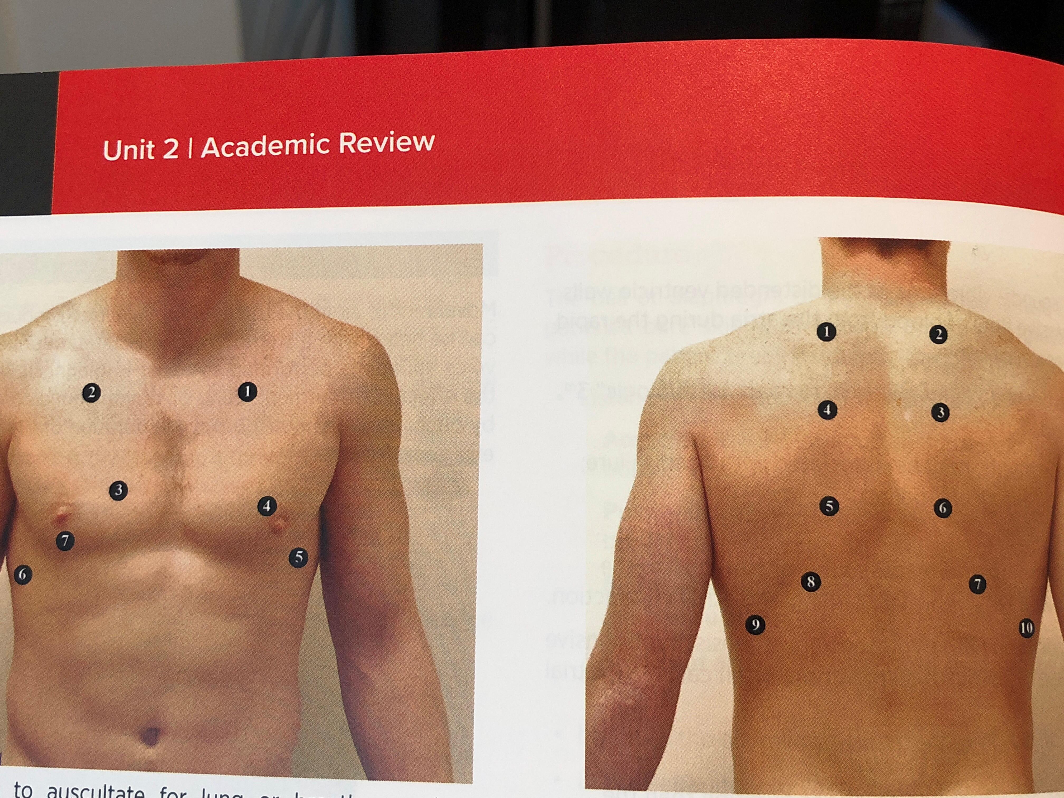 Anterior And Posterior Lungs Lung Sounds, Auscultating Lung