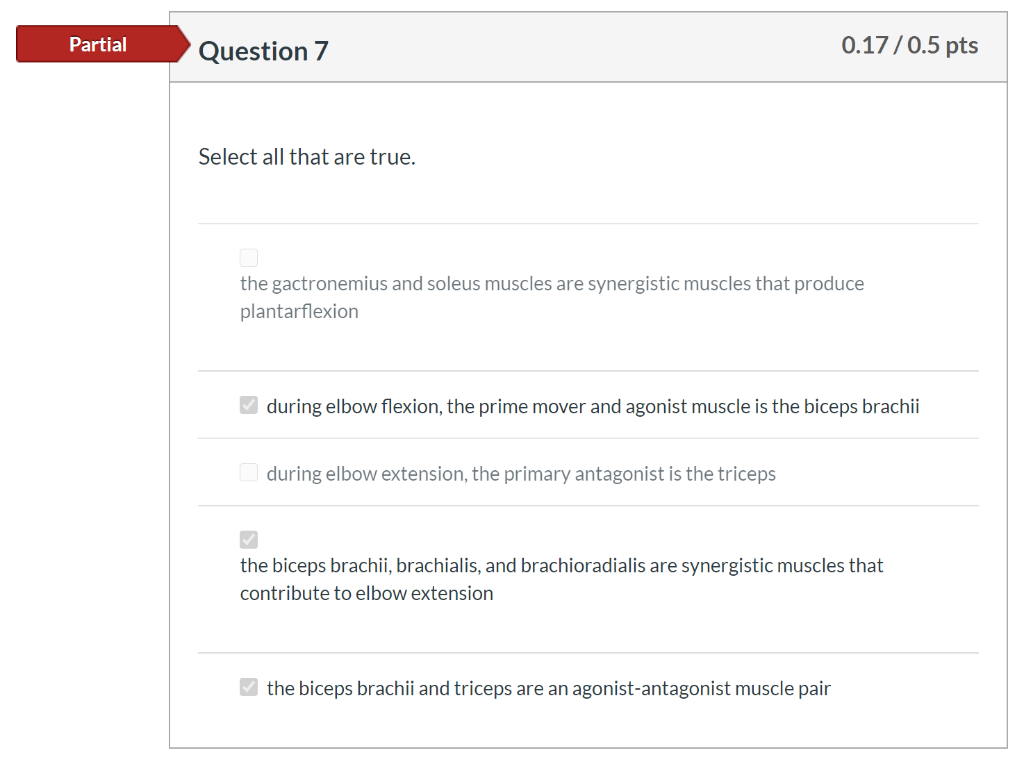 Solved Partial Question 4 0.38/0.5 pts Select all that are | Chegg.com