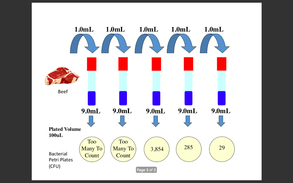 Solved What are the concentrations of viable bacteria for | Chegg.com