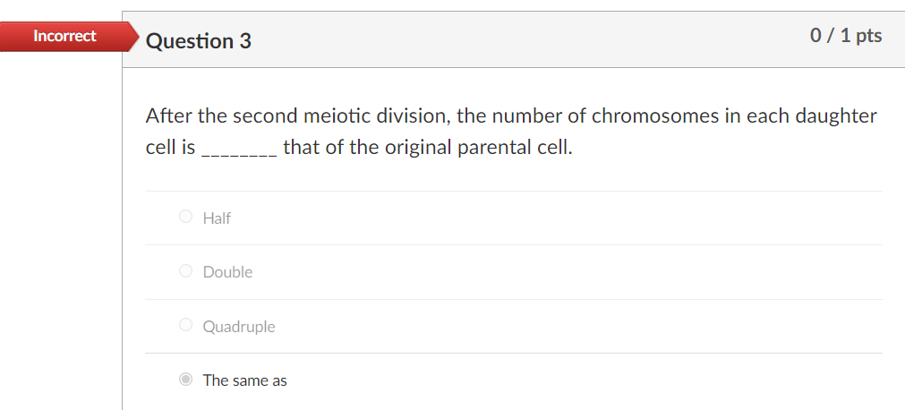 Solved Incorrect Question 3 0 / 1 pts After the second | Chegg.com