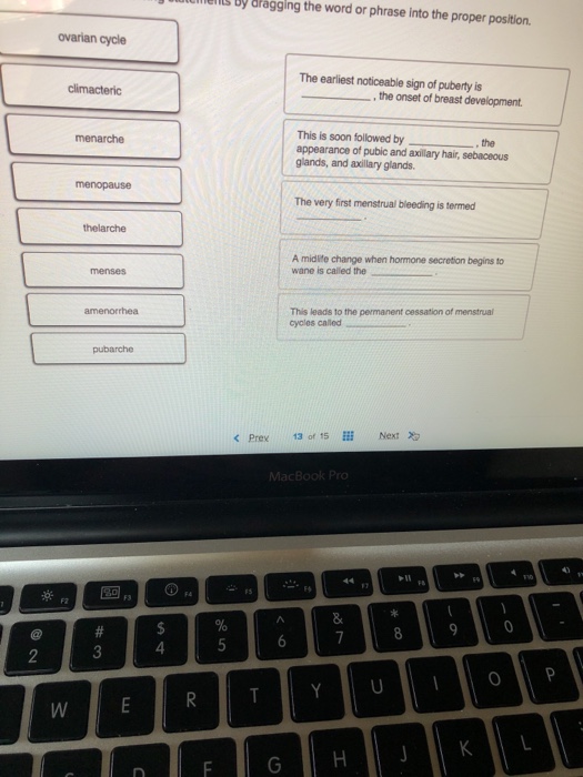 Solved By Dragging The Word Or Phrase Into The Proper Chegg