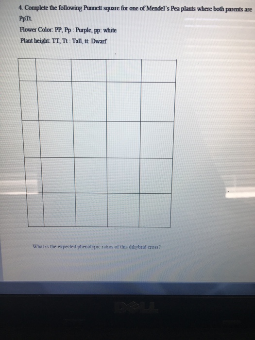 Solved Complete the following Punnett square for one of | Chegg.com
