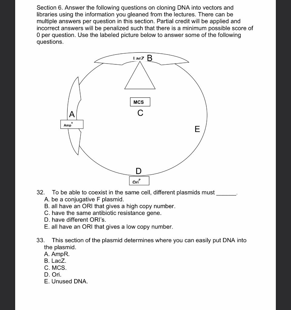 Solved Section 6. Answer the following questions on cloning