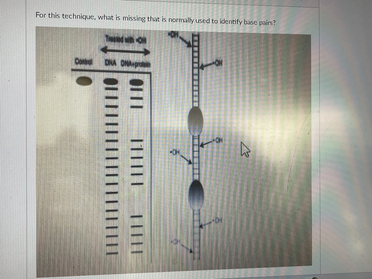 Solved For this technique, what is missing that is normally | Chegg.com