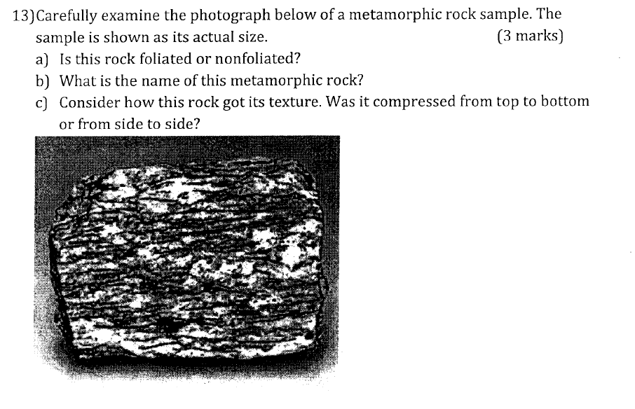 Solved 13) Carefully examine the photograph below of a | Chegg.com