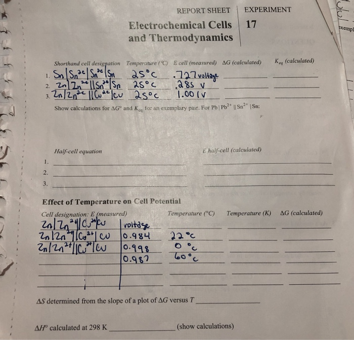 Solved REPORT SHEET EXPERIMENT Electrochemical Cells 17 And | Chegg.com