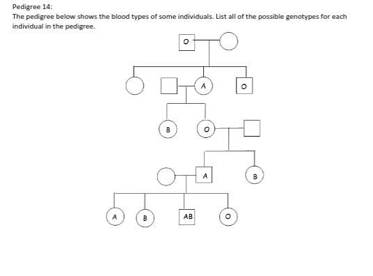 Solved Pedigree 14: The pedigree below shows the blood types | Chegg.com