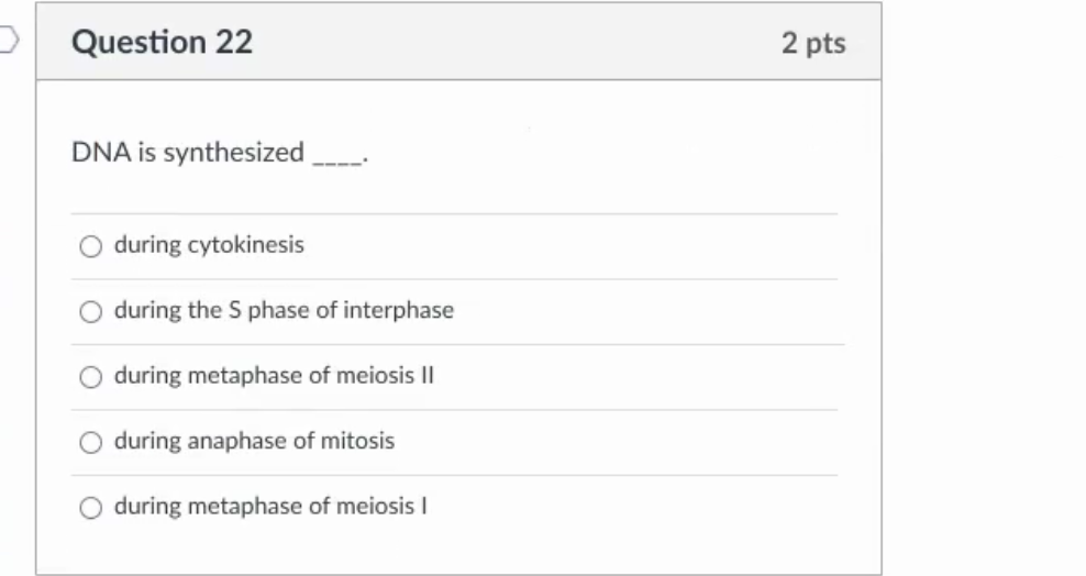 Solved Question 22 2 pts DNA is synthesized during | Chegg.com