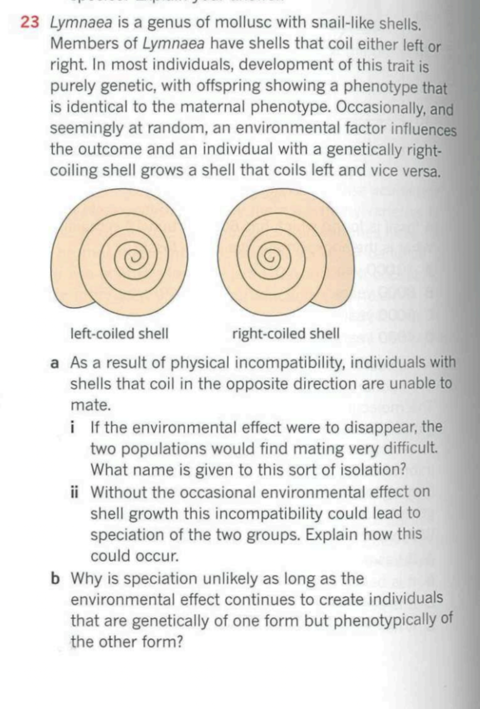 23 Lymnaea is a genus of mollusc with snail-like shells.
Members of Lymnaea have shells that coil either left or
right. In mo