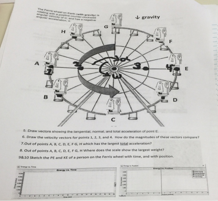 Solved The Ferris wheel on Earth (with gravity) is rotating