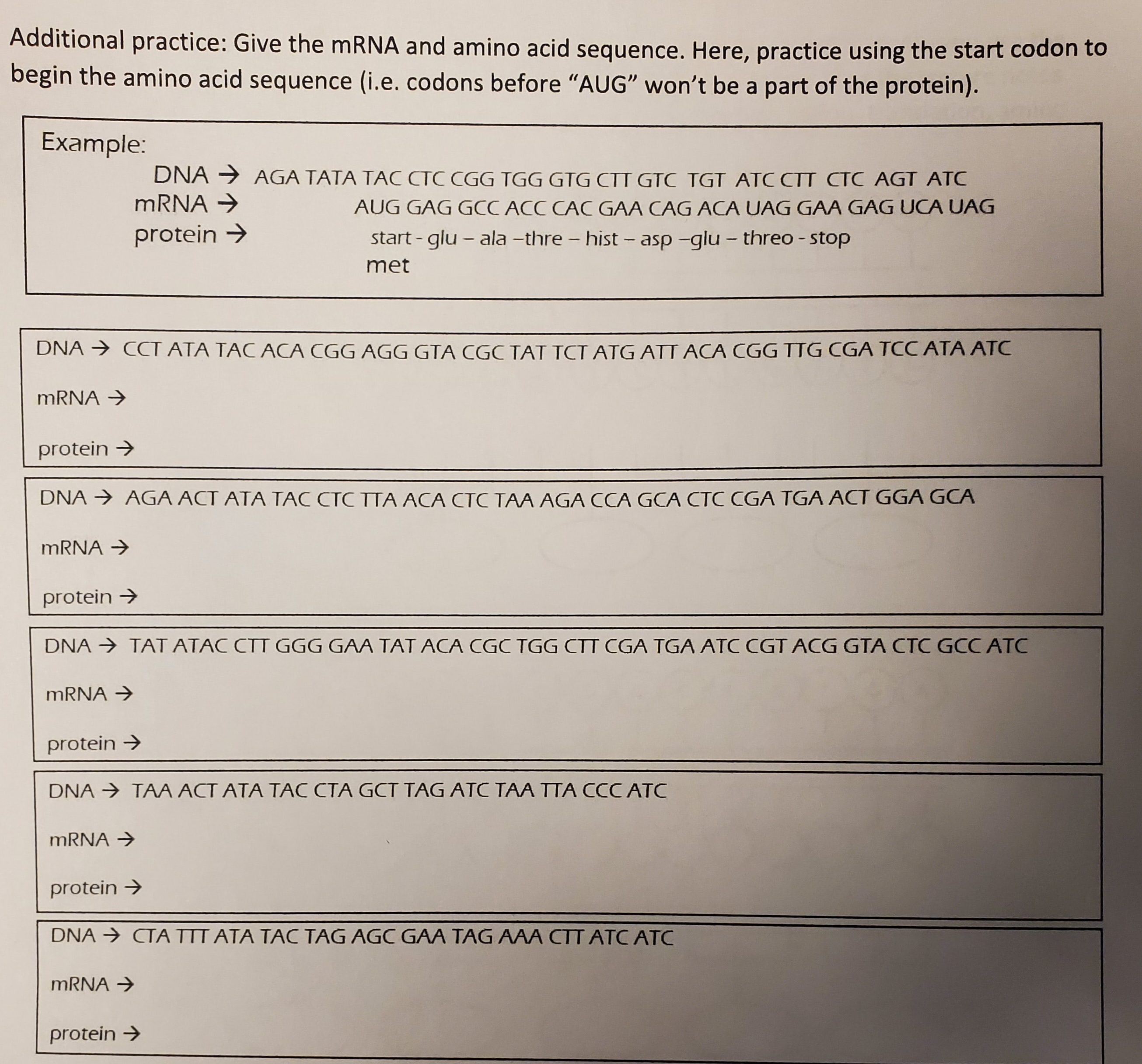 Solved Additional practice: Give the mRNA and amino acid | Chegg.com