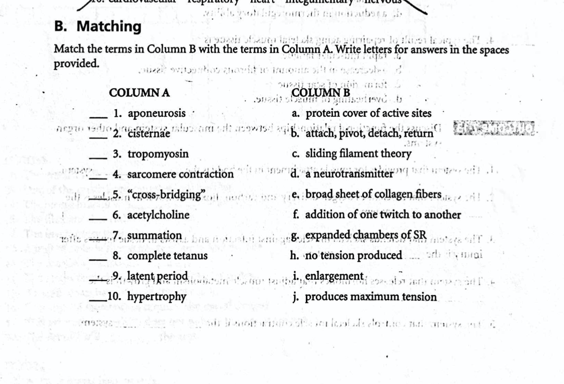 Solved B. Matching Match The Terms In Column B With The | Chegg.com